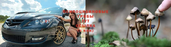 спиды Белоозёрский