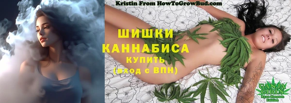 apvp Белокуриха