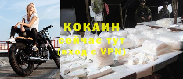 apvp Богородск